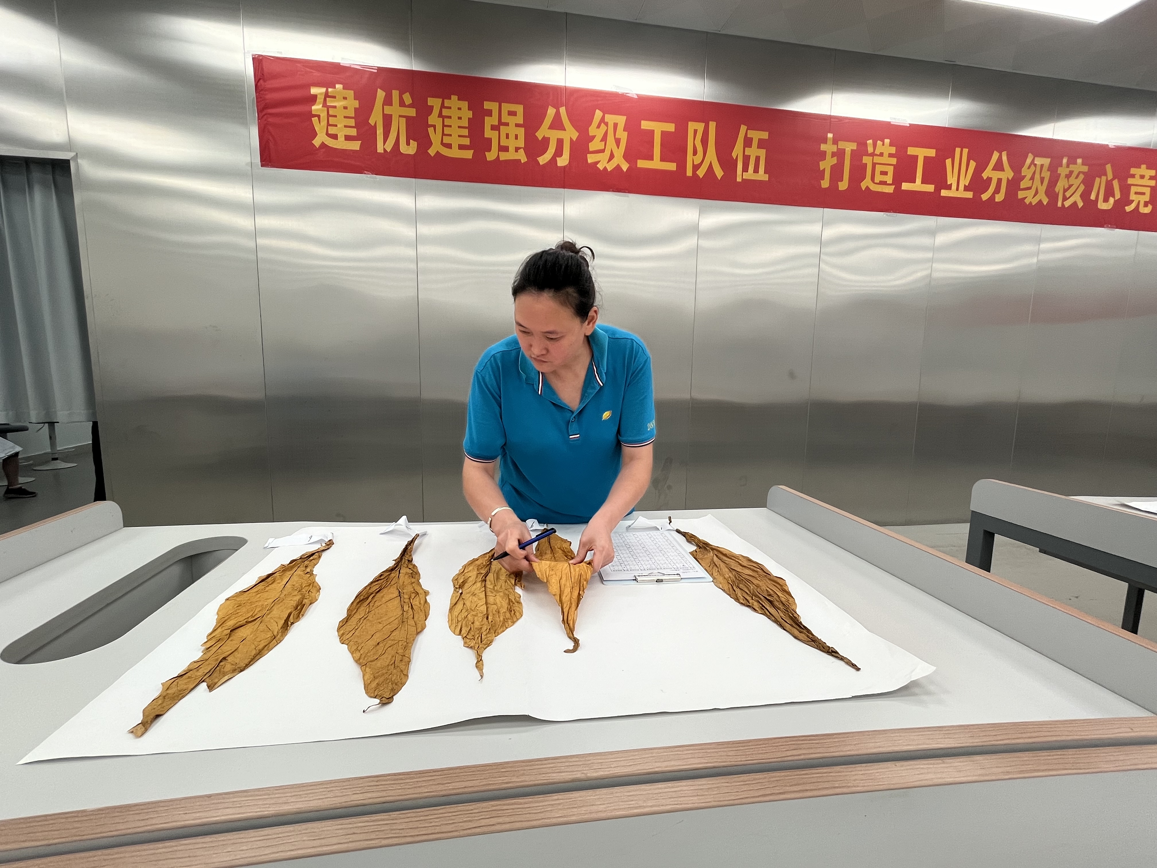 队伍默契配合，协同作战，切磋技艺(队伍默契配合,协同作战,切磋技艺的成语)
