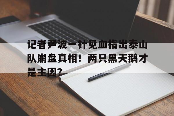爱游戏体育在线-记者尹波一针见血指出泰山队崩盘真相！两只黑天鹅才是主因？